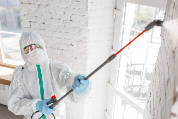 Best Residential Mold Inspection & Testing  in Anniston, AL