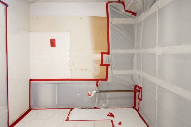 Best Biohazard Mold Removal  in Anniston, AL