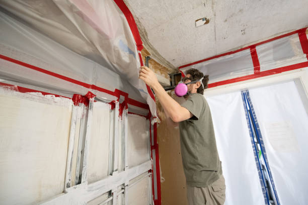 Best Dehumidification Services  in Anniston, AL