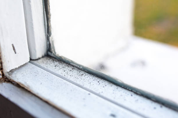 Best Indoor Air Quality Assessment  in Anniston, AL